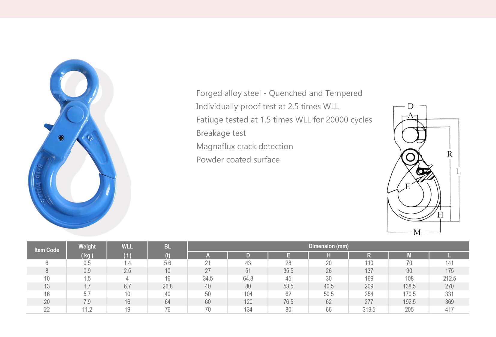 G100?&nbsp;-?&nbsp;IEL-0699H - spec.jpg